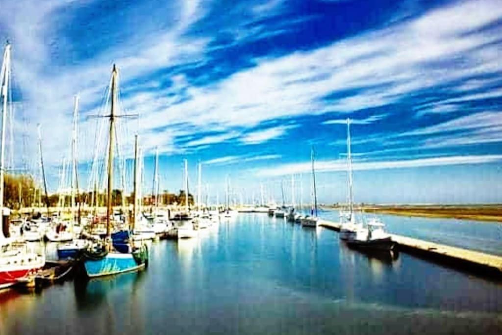 A Gaivota Ria Formosa Waterfront Lux Apart With Pool, Olhao, Algarve Екстериор снимка
